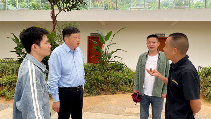 綿投集團黨委書記、董事長李桂炳調(diào)研鄉(xiāng)村振興駐村幫扶工作